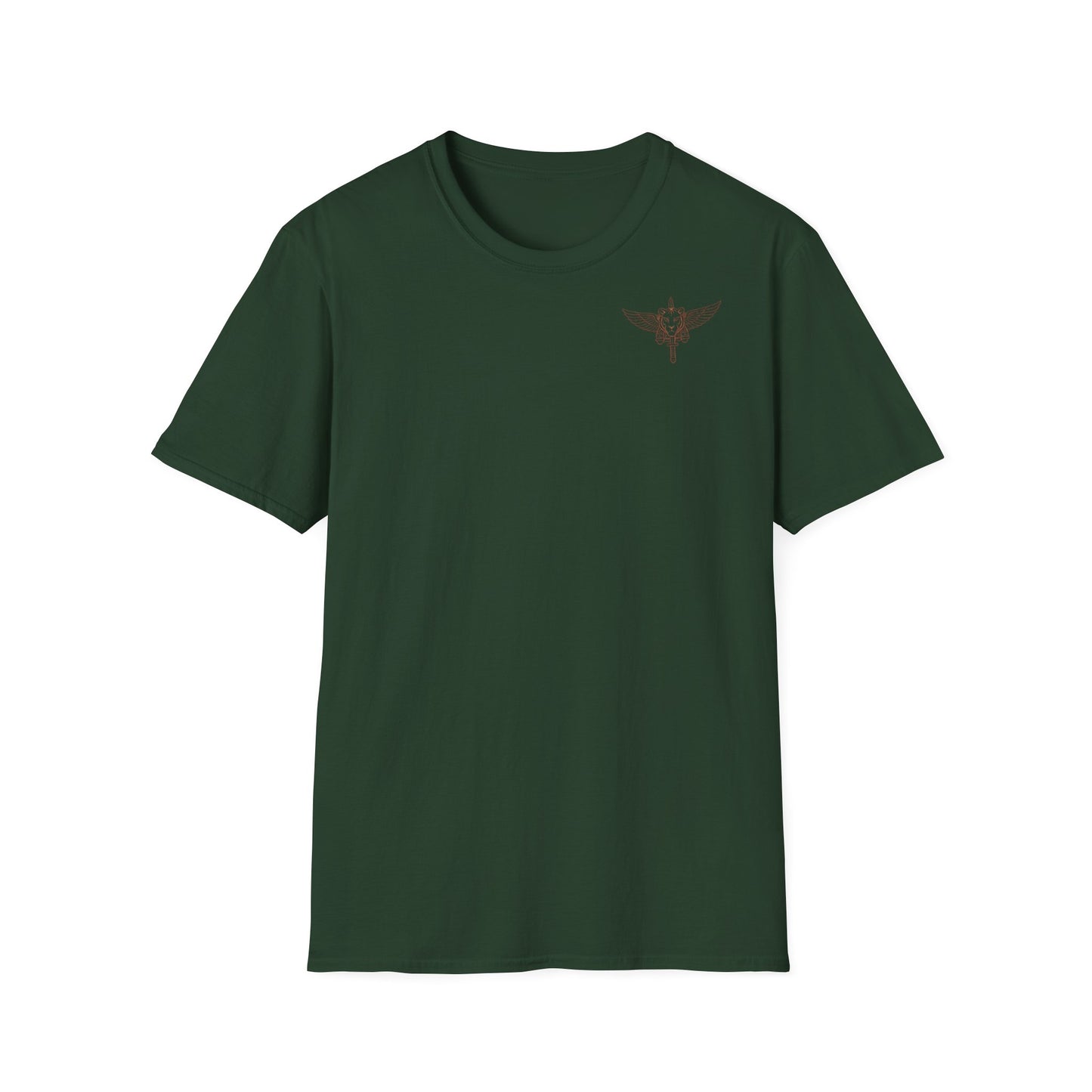 Screen printing on T-shirts