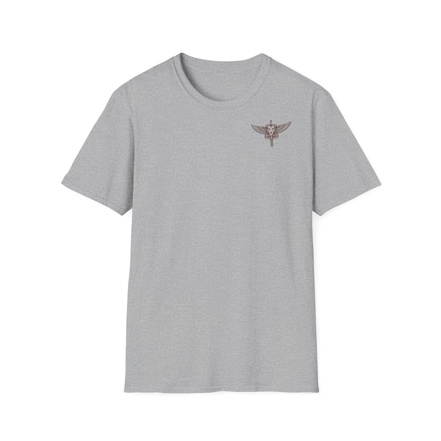 Screen printing on T-shirts